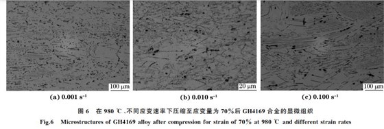 圖６ 在９８０ ℃、不同應(yīng)變速率下壓縮至應(yīng)變量為７０％