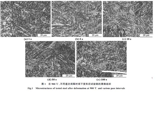 圖１ 在９００ ℃、不同道次間隔時(shí)間下變形后試驗(yàn)鋼的顯微組織