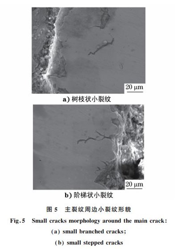 圖５ 主裂紋周邊小裂紋形貌