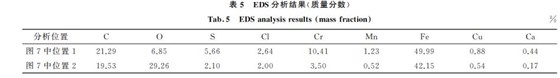 表５ EDS分析結(jié)果(質(zhì)量分數(shù))