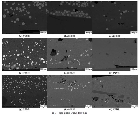 不同焊接試樣的截面形貌
