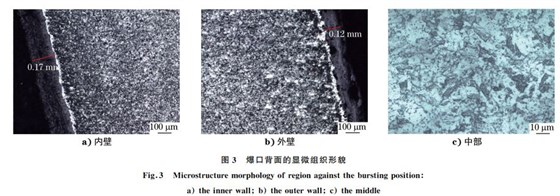 圖３ 爆口背面的顯微組織形貌