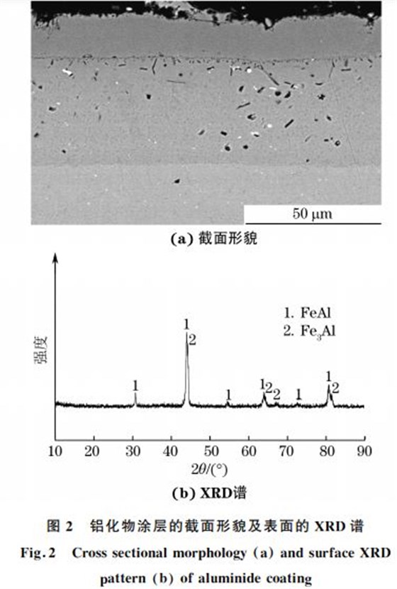鋁化物涂層的截面形貌及表面的 XRD譜