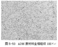 圖5-50 A286原材料金相組織100×