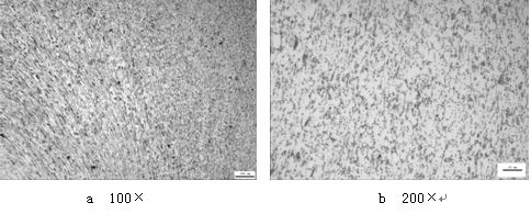 ML16CrSiNi長托板螺母未熱處理的金相組織，可見變形痕跡