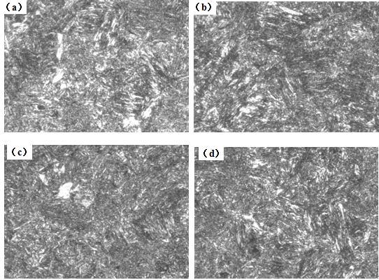 圖12-15 （a、b、c、d） 1～4號(hào)樣金相組織 500×