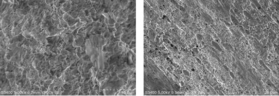 圖15-3 韌窩斷口 圖15-4 方向性明顯的韌窩