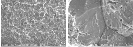 圖12-37 斷口微觀冰糖狀形貌 圖12-38 晶面上有明顯雞爪痕