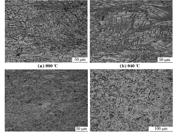 圖５ 在不同溫度、應(yīng)變速率為０．０１０s－１下壓縮至應(yīng)變量為７０％后GH４１６９合金的顯微組織