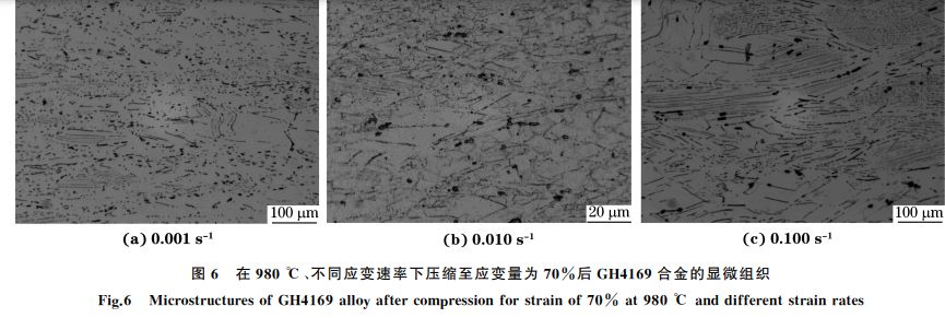 圖６ 在９８０ ℃、不同應(yīng)變速率下壓縮至應(yīng)變量為７０％