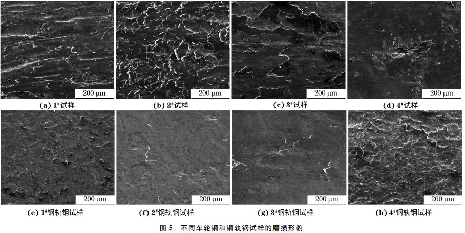 圖５ 不同車輪鋼和鋼軌鋼試樣的磨損形貌