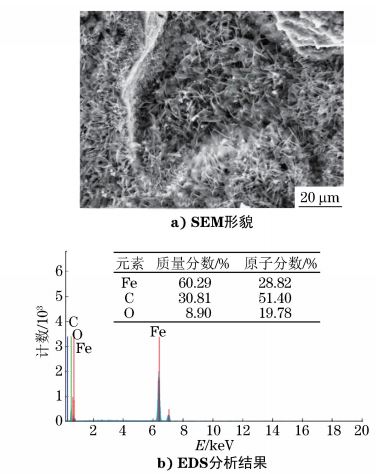 圖６ 斷口表面覆蓋物SEM 形貌及 EDS分析結(jié)果