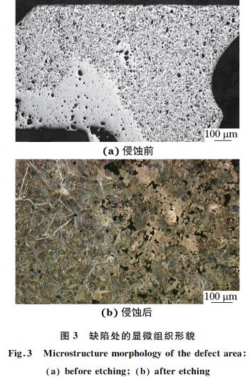 圖３ 缺陷處的顯微組織形貌