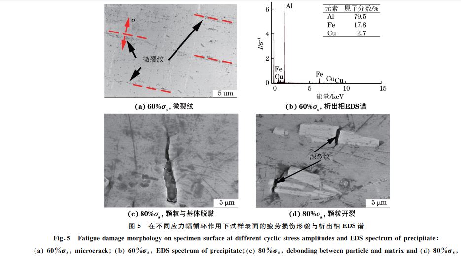 圖５ 在不同應力幅循環(huán)作用下試樣表面的疲勞損傷形貌與析出相 EDS譜