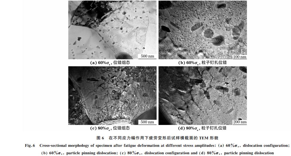 圖６ 在不同應力幅作用下疲勞變形后試樣橫截面的 TEM 形貌