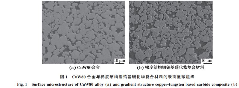 圖１ CuW８０合金與梯度結(jié)構(gòu)銅鎢基碳化物復合材料的表面顯微組織