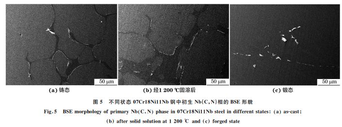 圖5 不同狀態(tài)07Cr18Ni11Nb鋼中初生 Nb(C，N)相的 BSE形貌